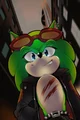 Scourge The Hedgehog