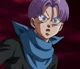 GT Trunks
