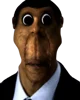 Obunga