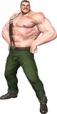 Mike Haggar