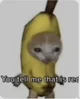 Banana cat