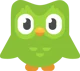 Duo The Duolingo Owl