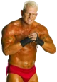 Heidenreich