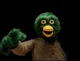 Duck Guy