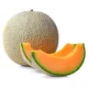 a cantaloupe