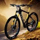 Adult mountain bike