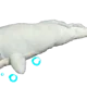 Big whale
