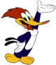 Woody woodpecker