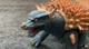 MIB anguirus