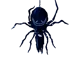 Spiders