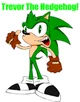trevor the headhog