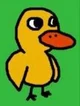 Duck Song Duck