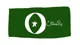 Pakistani Republic