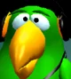 Peedy the Parrot