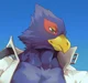 Macro Falco