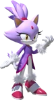 Blaze the cat 