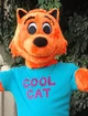 Cool Cat