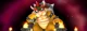 Super Bowser
