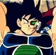 Bardock  