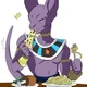lord beerus