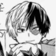 Shouto todoroki