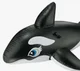 Inflatable Orca