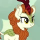 Autumn Blaze