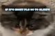 Sleep Cat