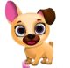 Fifi