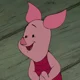 Piglet