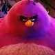 AngryBirds - Terance