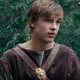Peter Pevensie