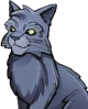 graystripe