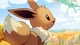 Paule-Eevee trainer