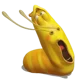 yellow larva