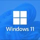 Windows 11 