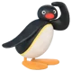 Pingu