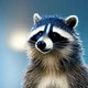 Raccoon Thief