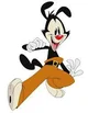 Yakko