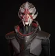 The Turian Survivor