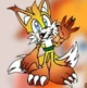 Tails the feral fox