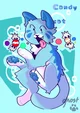 Candy cat