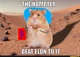 Elon hampter