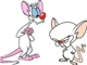 Pinky and Brain