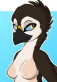 Nova the Magpie