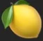 Lemon boy