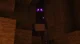 Enderwoman in OV