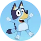 Bluey Heeler