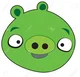 pig from angry birds