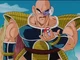 Pokeball Nappa